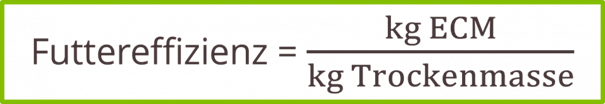 Formel zur Berechnung der Futtereffizienz