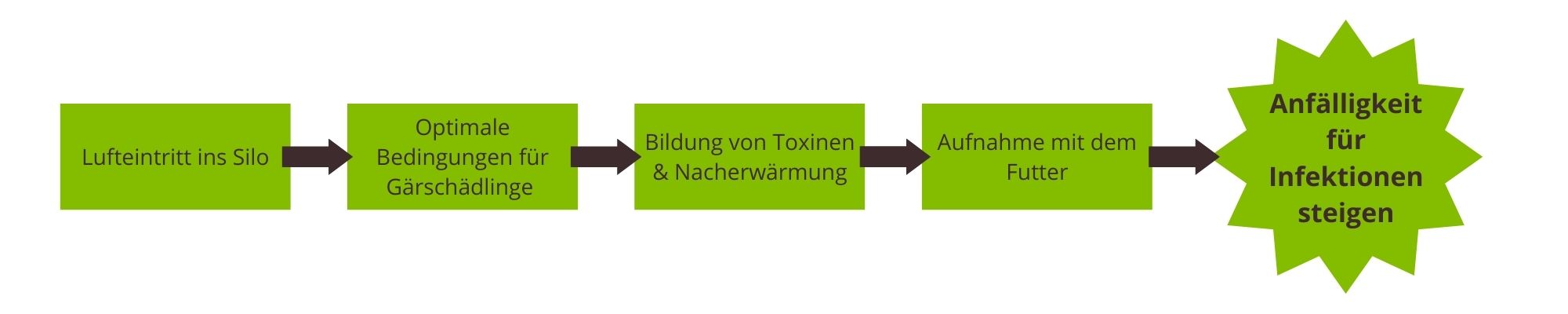 Grafik zum Auftreten von Mykotoxinen im Silostock
