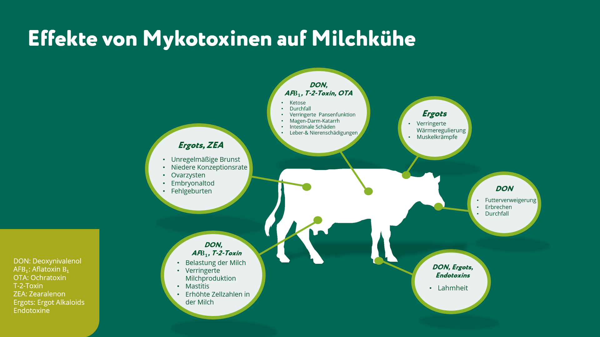 Grafik zu den Effekten von Mykotoxinen bei Milchkühen