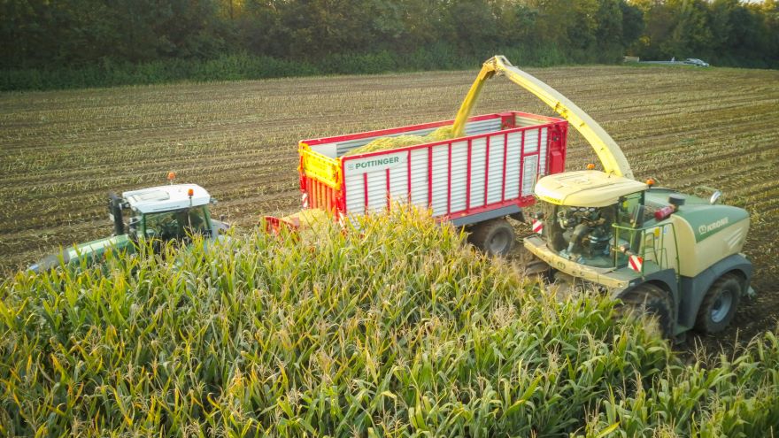 Traktor auf Maisfeld bei Maissilage