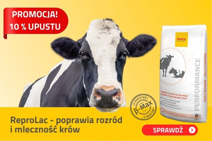 ReproLac wsparcie płodności krów