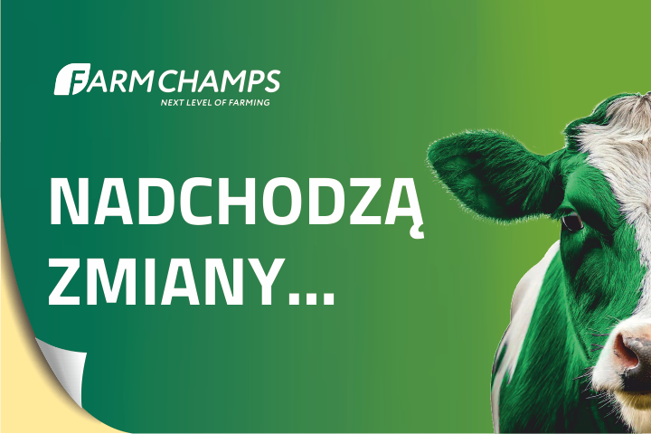 baner famchamps zmiany